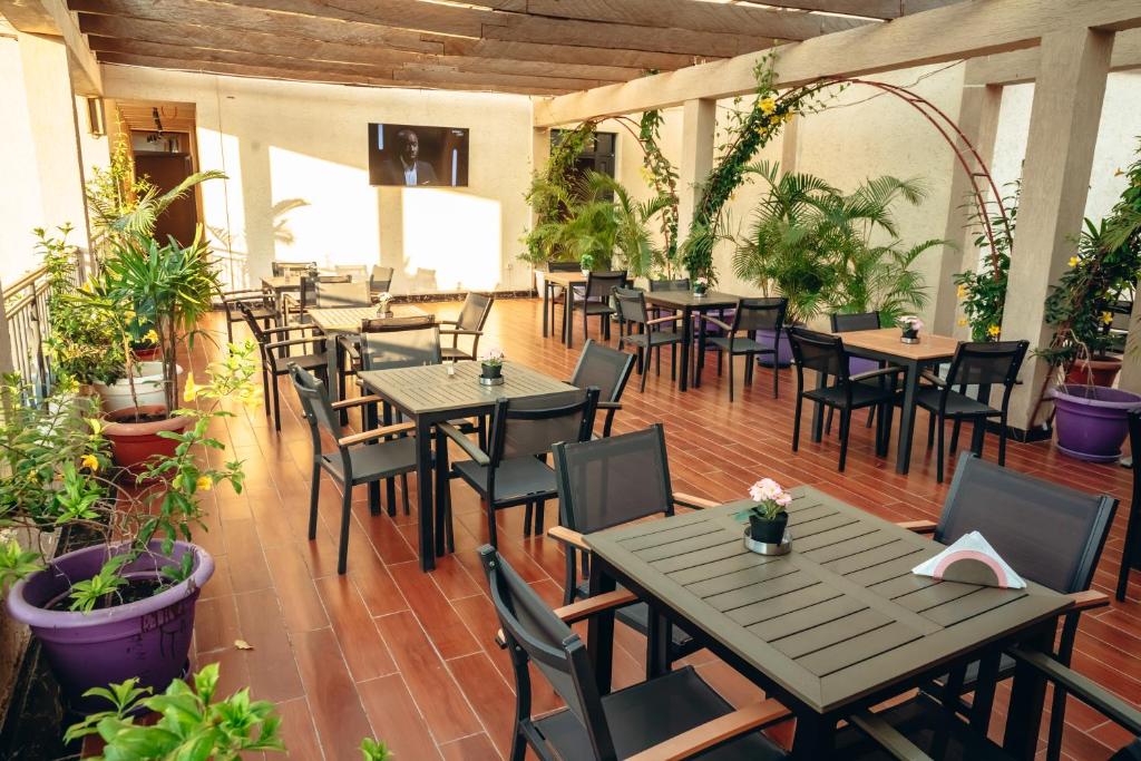 Espace Détente & Terrasse